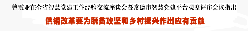 曾震亚在全省智慧党建工作经验交流座谈...
