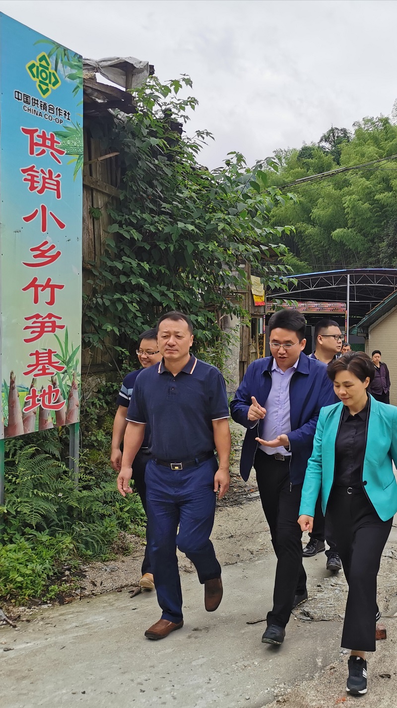 邵阳市社主任汪庆春,绥宁县委副书记,县长罗玉梅,县委副书记唐宏华